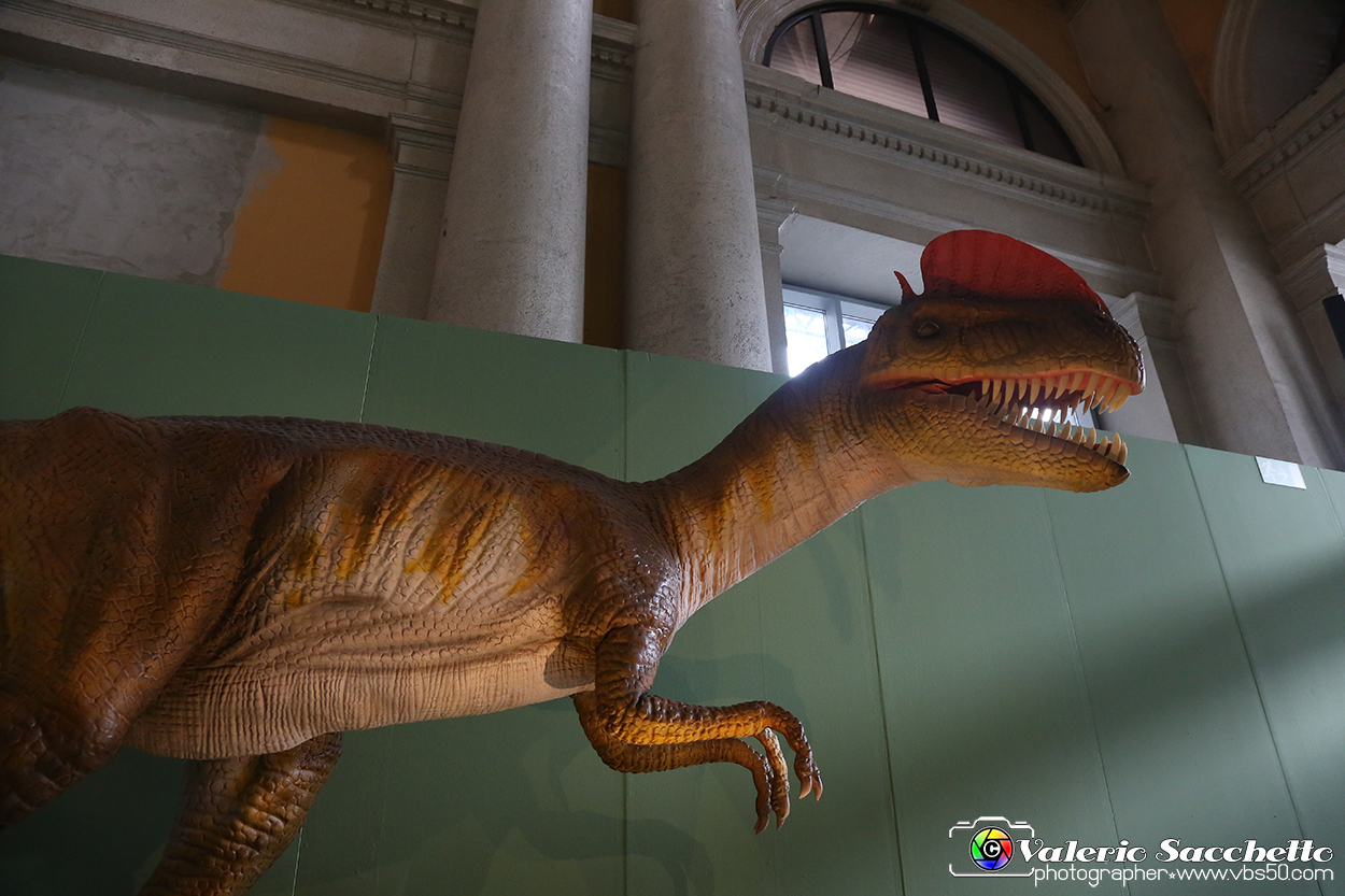 VBS_0939 - Dinosauri. Terra dei giganti.jpg